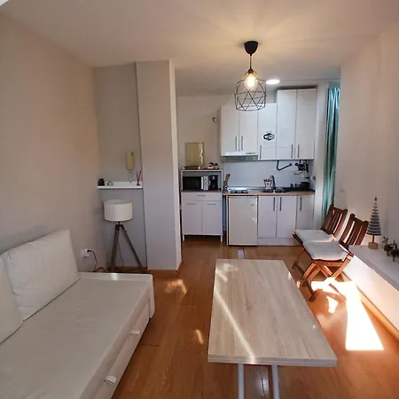 Estupendo Apartamento 1 Dormitorio, 1 Salon, Bano , Wifi Sky Montana Apartment